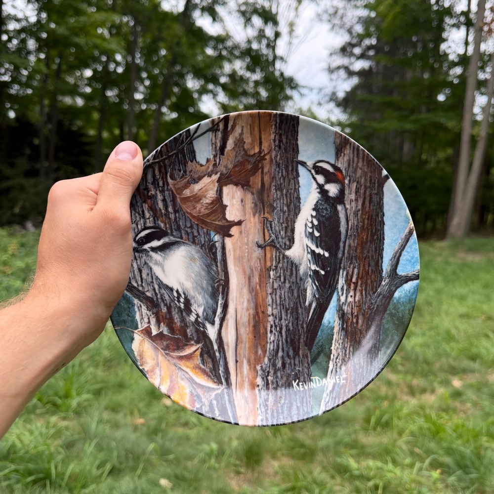 New 1987 Knowles The Downy Woodpecker Collector Plate Kevin Daniel 8.5" 13578C